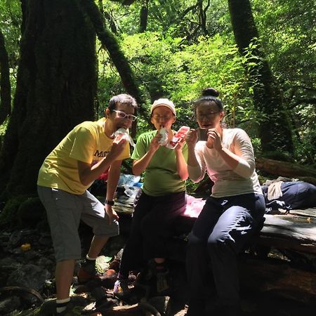 Yakushima Youth Hostel Экстерьер фото